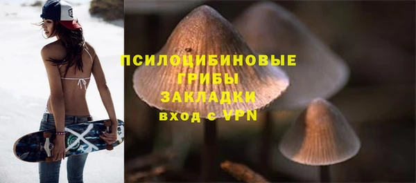 твердый Зеленодольск