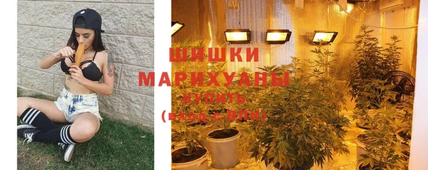 стафф Заводоуковск