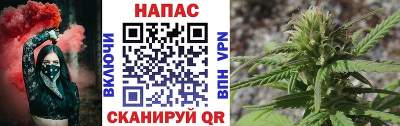 дарнет шоп  Каргополь  Канабис Amnesia 